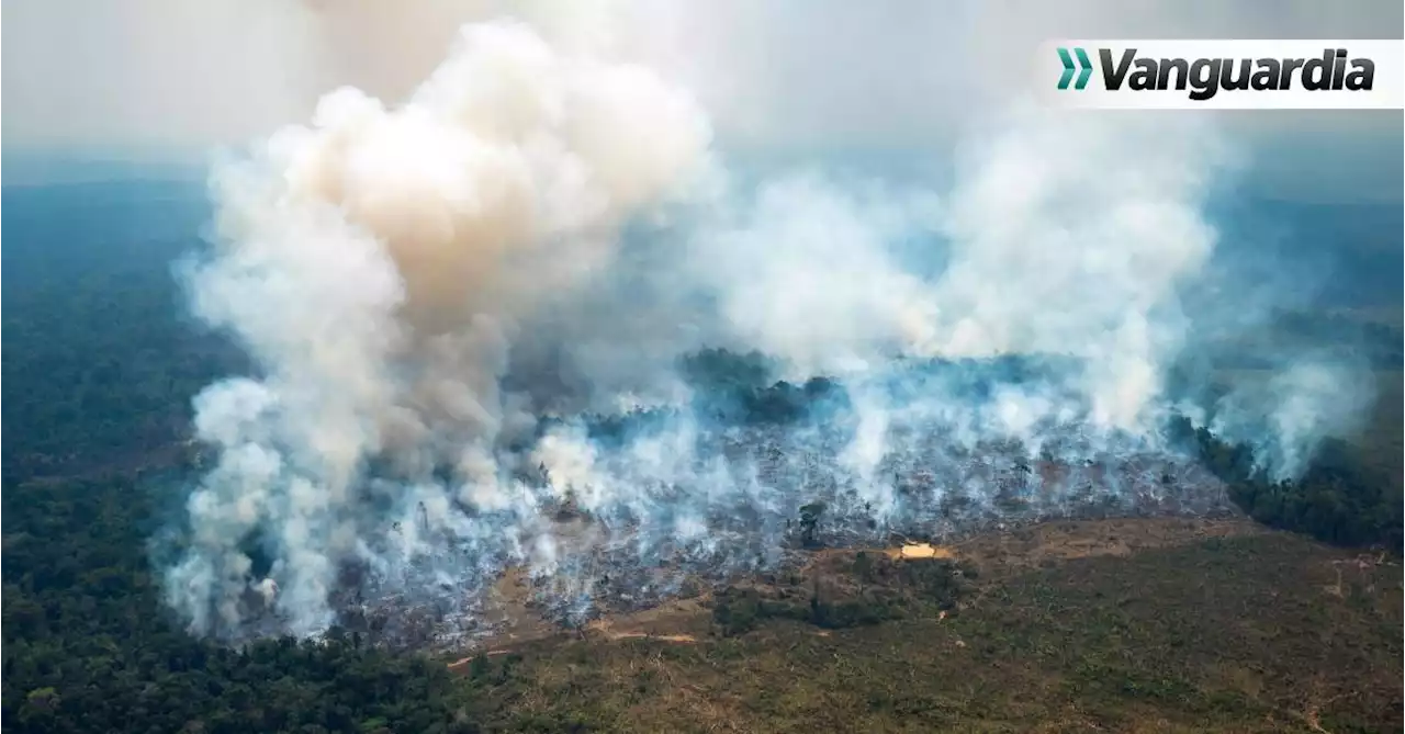 Fotos: Alerta en Colombia por incendios forestales en la Amazonía y la Orinoquía