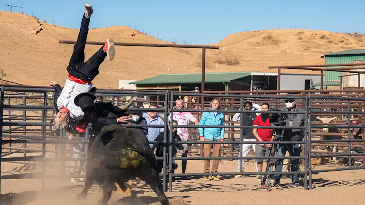 ‘Jackass Forever’ Review: Still Crazy After All These Years