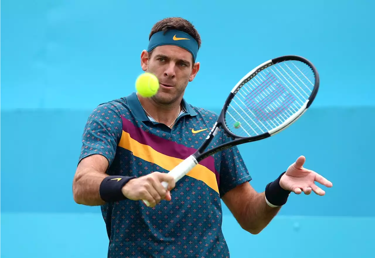 Entre lágrimas, Juan Martín Del Potro prepara su retiró del tenis profesional