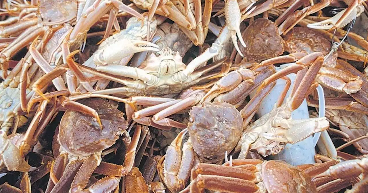 Southeast crabbers are expecting one of their best seasons ever