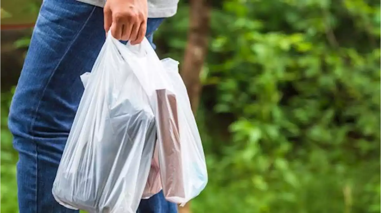 دبي تفرض تعرفة على أكياس نقل البضائع أحادية الاستخدام