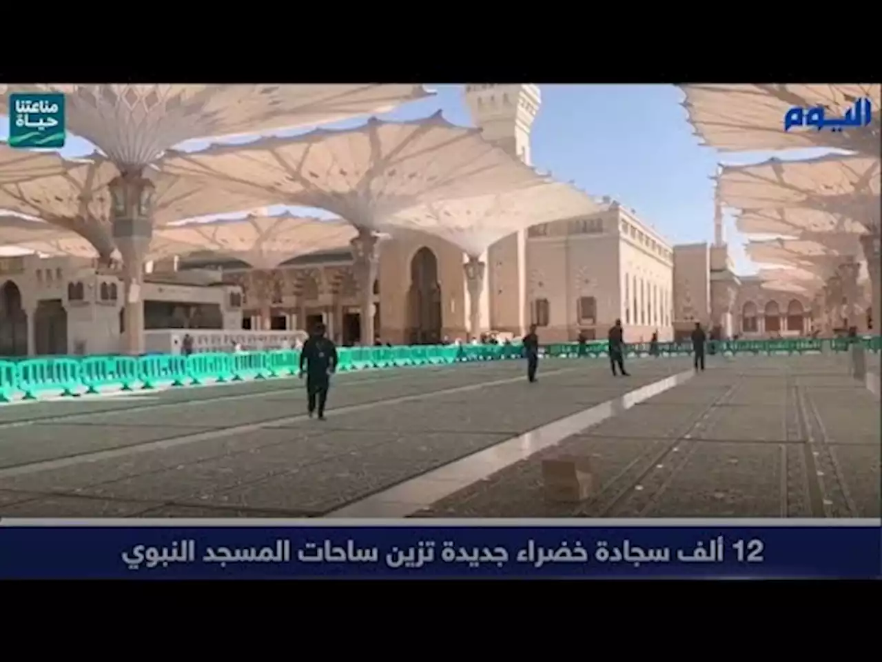 شاهد.. 12 ألف سجادة خضراء جديدة تزين ساحات المسجد النبوي