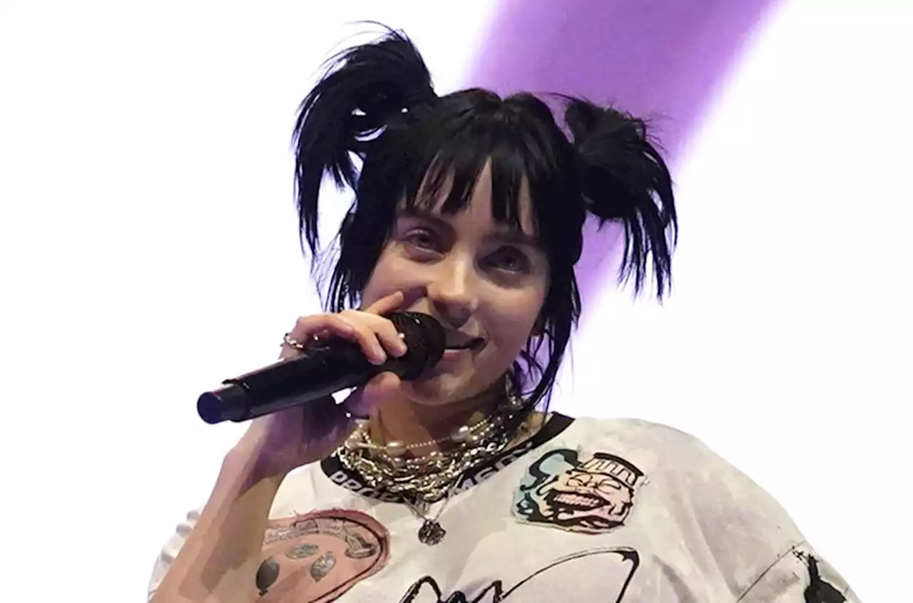 Billie Eilish Pauses Concert to Give Fan an Inhaler