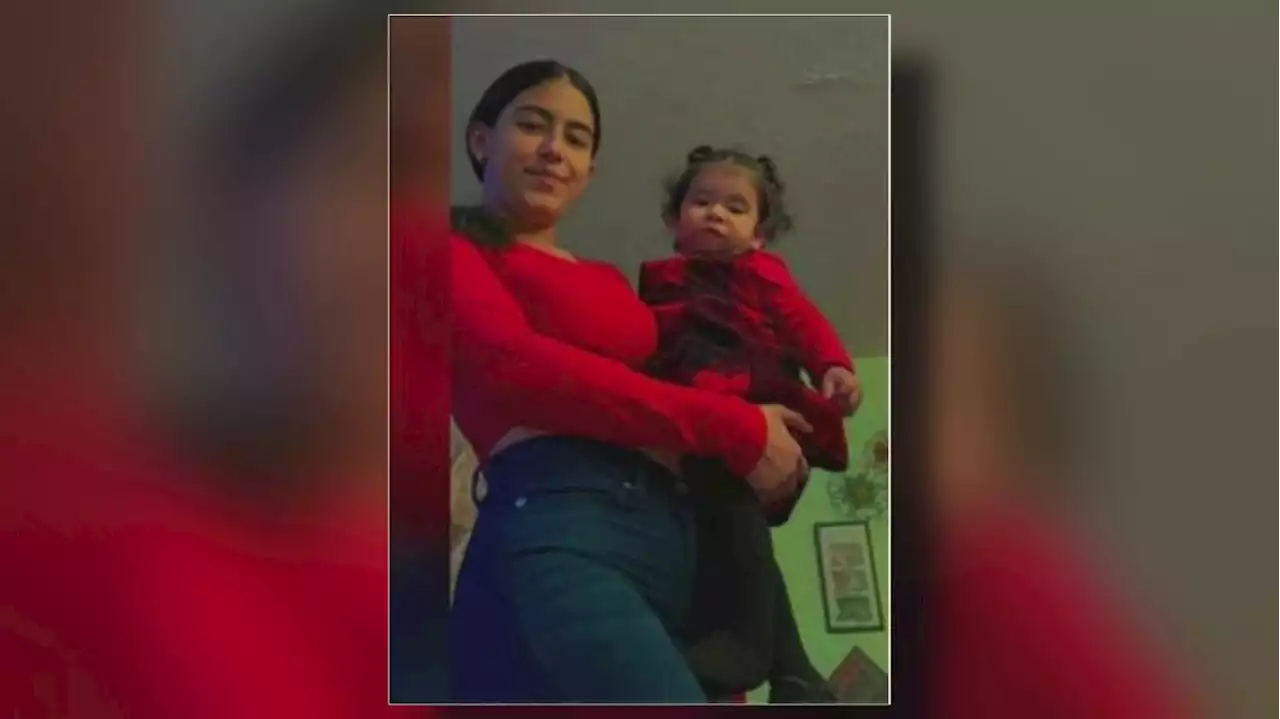 MISSING: Sharon Tellez-Perez And 2-Month Old Daughter Last Seen In Unincorporated Palatine Township