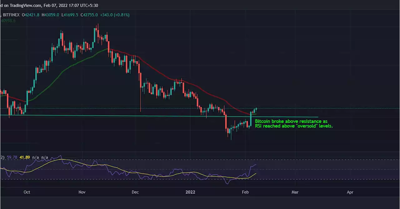 XRP Leads Gains in Major Cryptos, Bitcoin Holds Above $42K