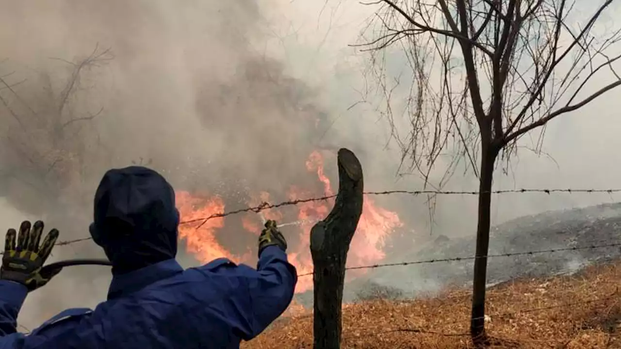 Incendios forestales disminuyeron en La Guajira y en toda la región Caribe