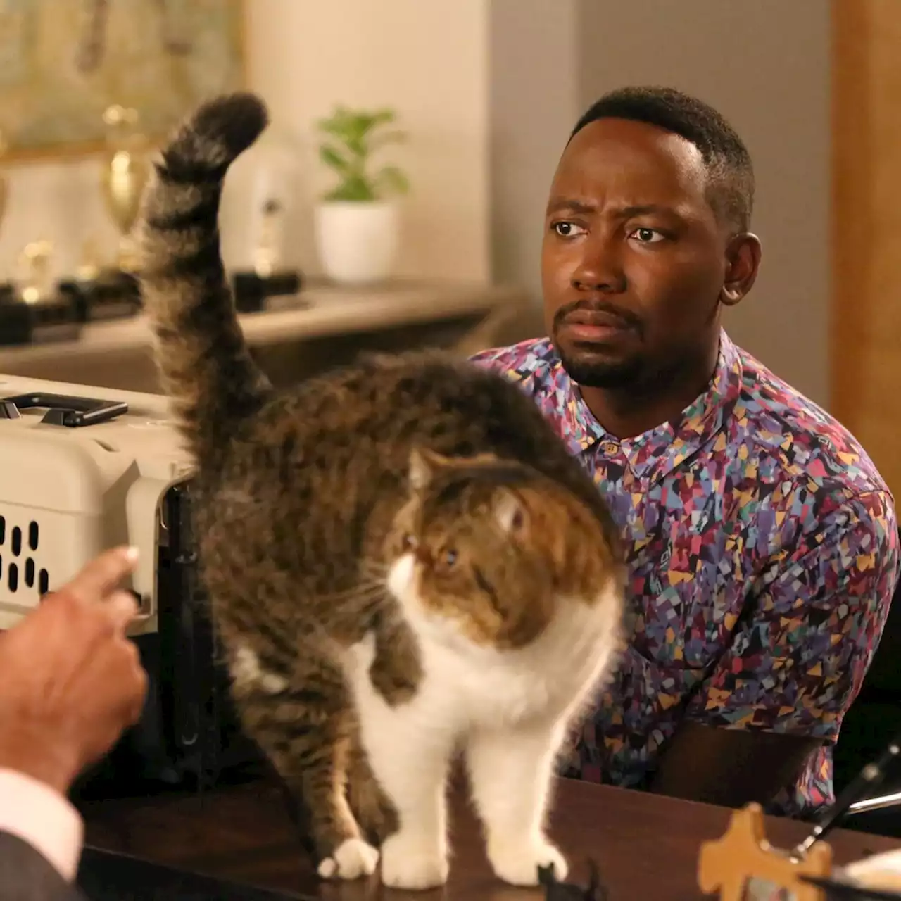 New Girl's Lamorne Morris Reveals He Was Actually Allergic to Ferguson the Cat - E! Online