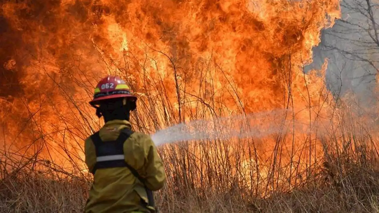 Corrientes: Valdés declaró el estado de desastre agropecuario por los incendios rurales