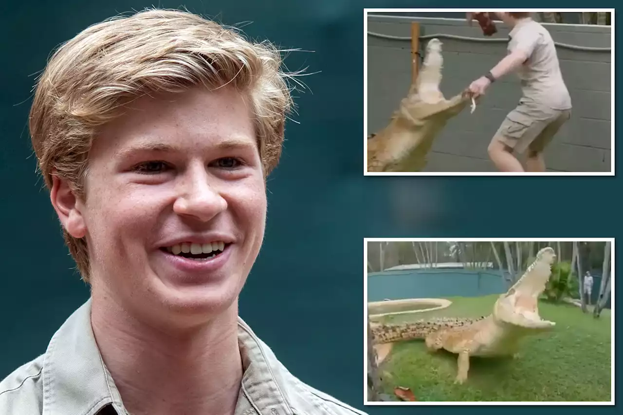 Steve Irwin’s son chased, nearly attacked by 12-foot crocodile