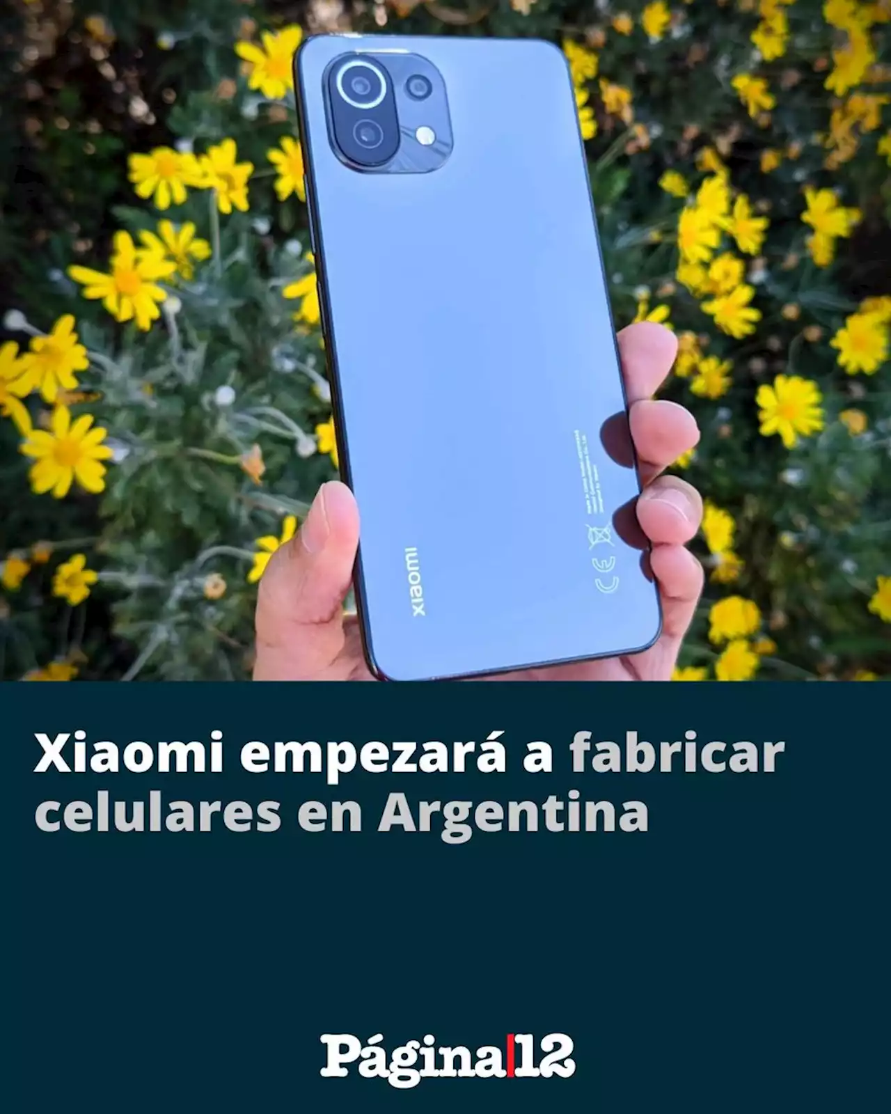 Xiaomi desembarca en Argentina con una inversión millonaria | Comenzará a fabricar celulares en el país