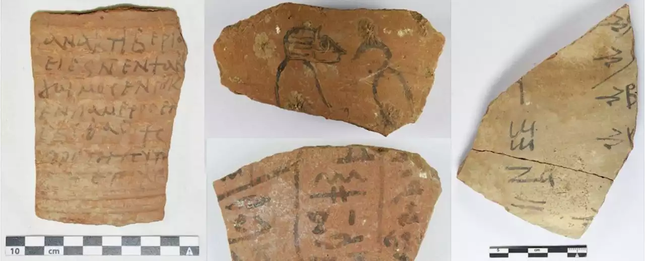 Huge Discovery of 18,000 'Notepads' Documents Daily Life in Ancient Egypt