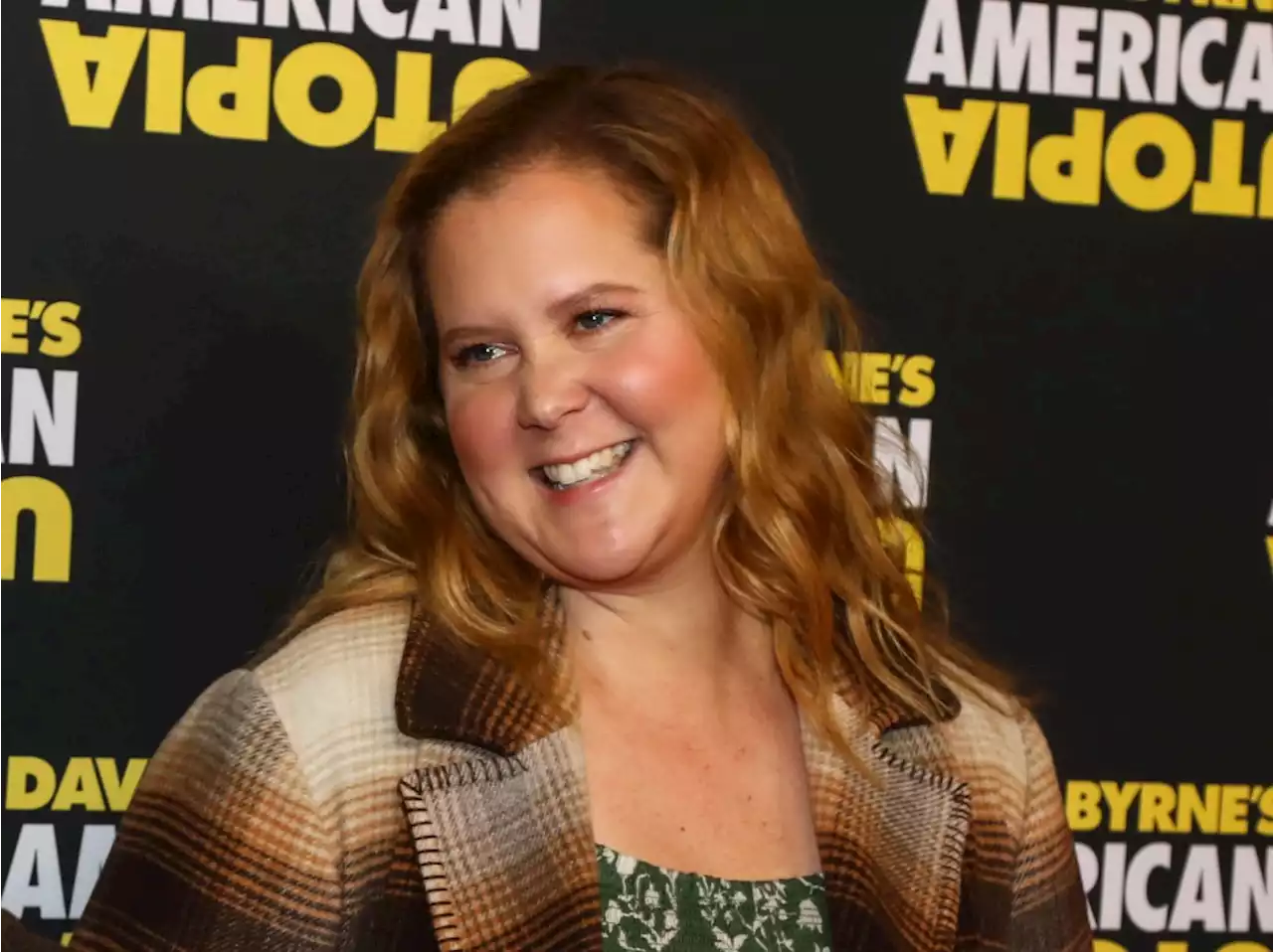 'Heaven on Earth' and Constant Guilt: Amy Schumer Perfectly Sums Up Motherhood in One Instagram Post