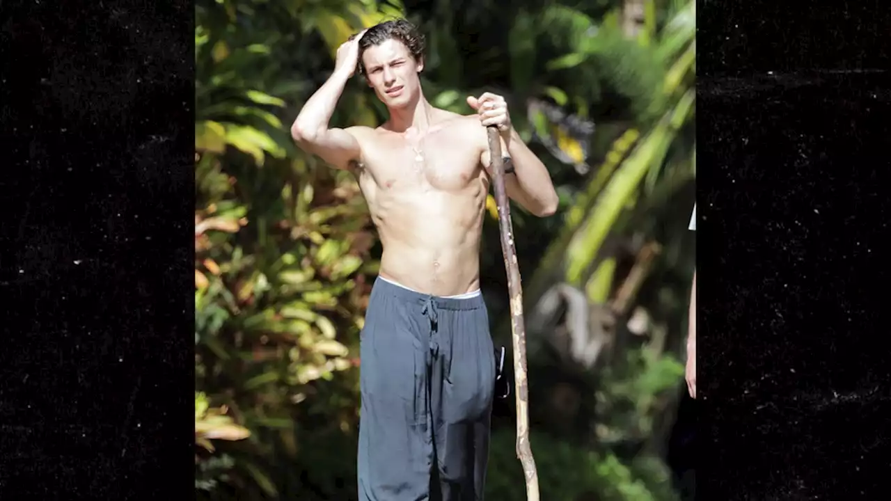 Shawn Mendes Goes Shirtless in Hawaii For Nature Walk with Friends