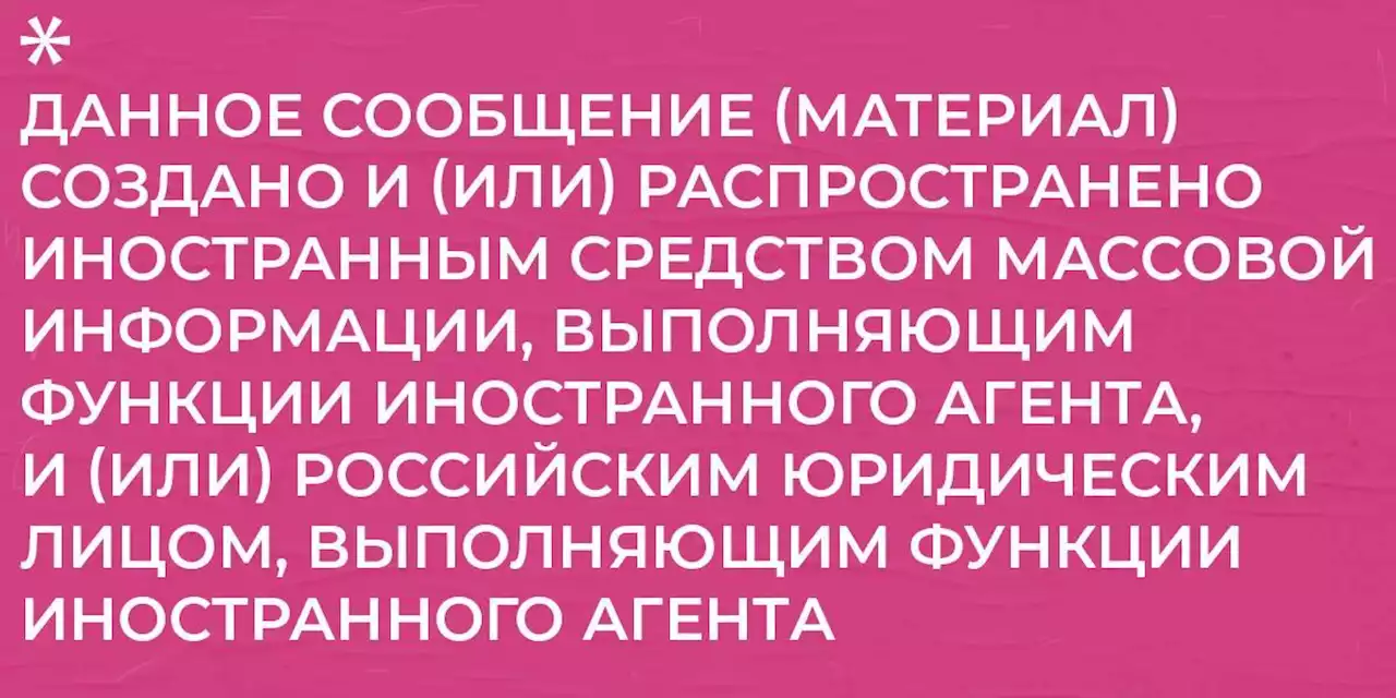 В Москве задержали участницу Pussy Riot Марию Алехину