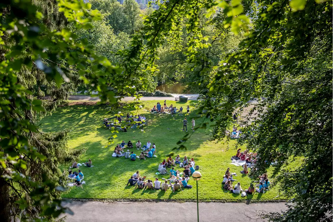 Forsker: Disse studentene bør få lønn