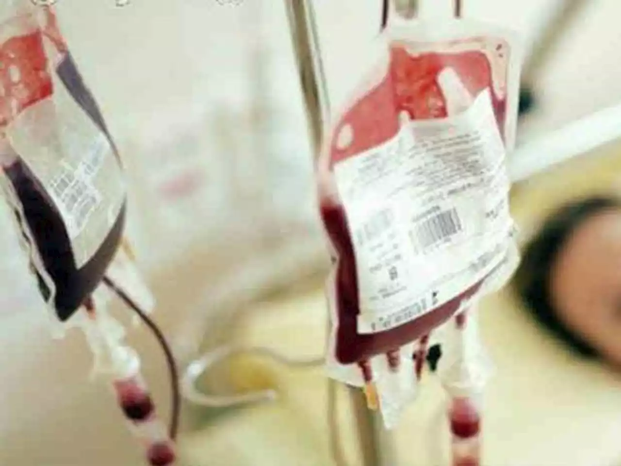 Modena, ricerca del sangue no vax per il figlio malato lanciata via Telegram: 44 volontari a disposizione