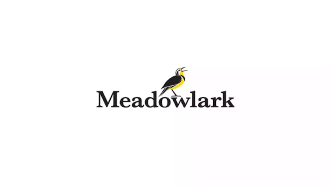 John Skipper’s Meadowlark Strikes Partnership With Backstage Media