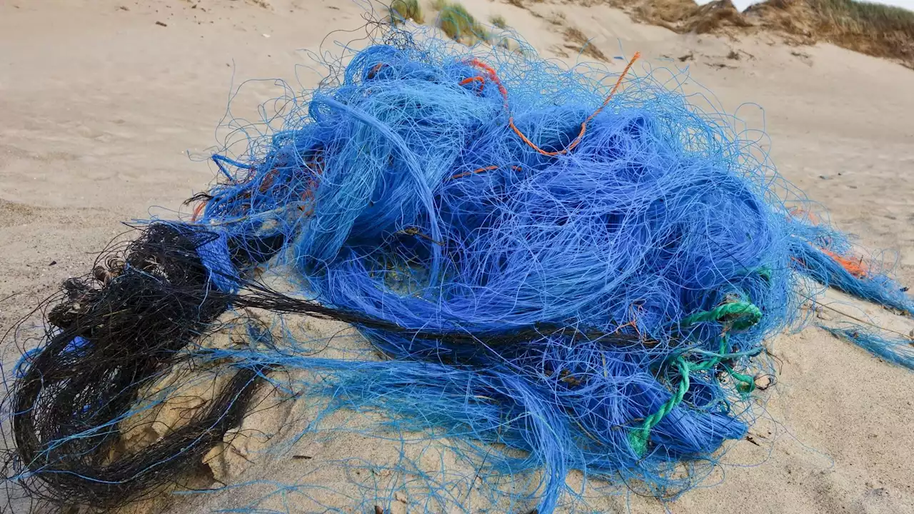 'Plastifizierung' - Warnung vor Plastikflut im Meer