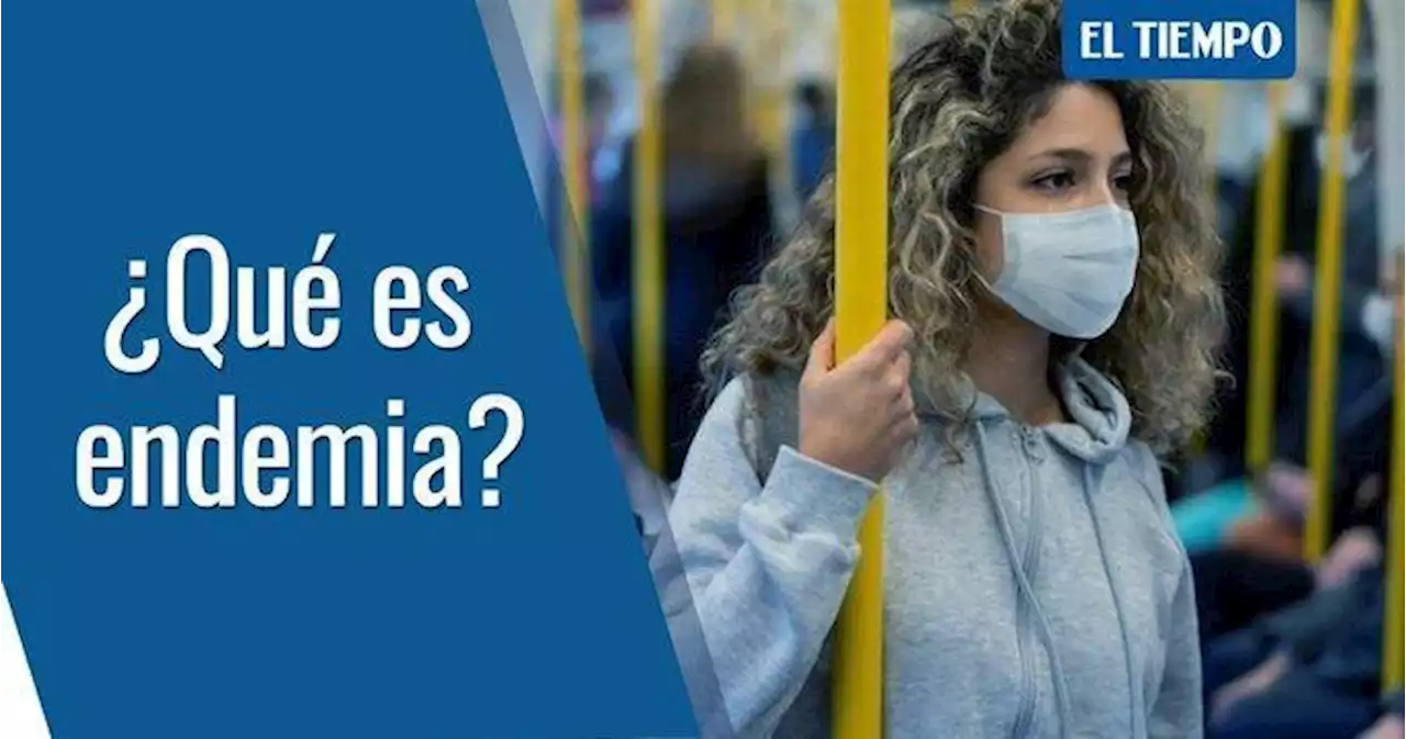 Endemia: en qué se diferencia de la pandemia y cómo se llega a esta etapa