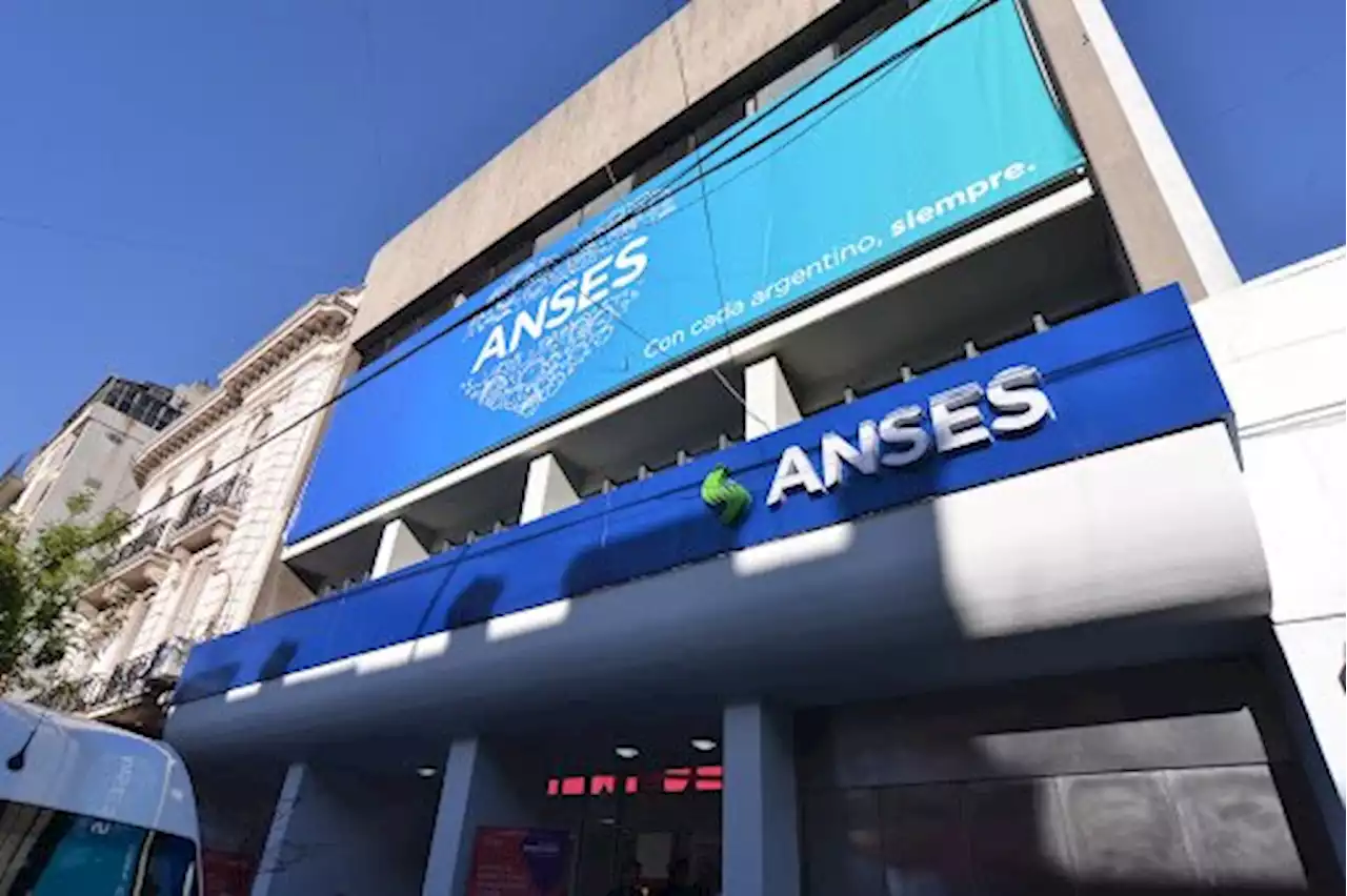 SUAF: ANSES empieza a pagar un bono a titulares con complemento