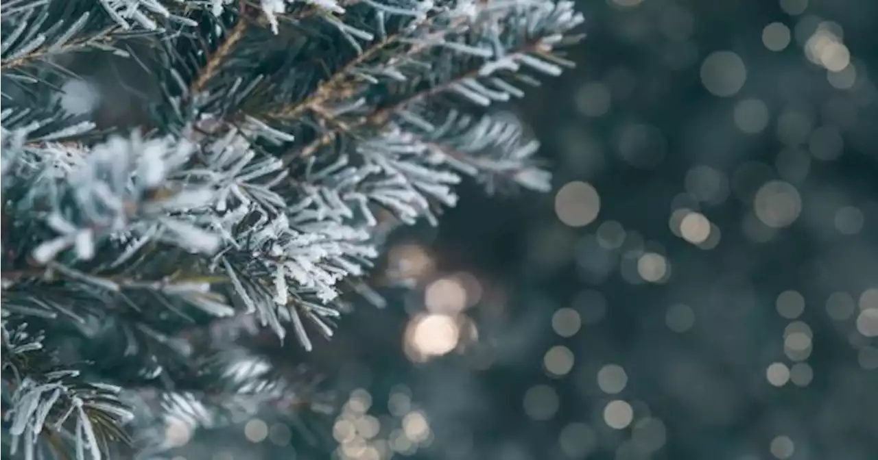 Temperatures set to drop to -4 degrees this week with possible snow in parts of Ireland | JOE.ie