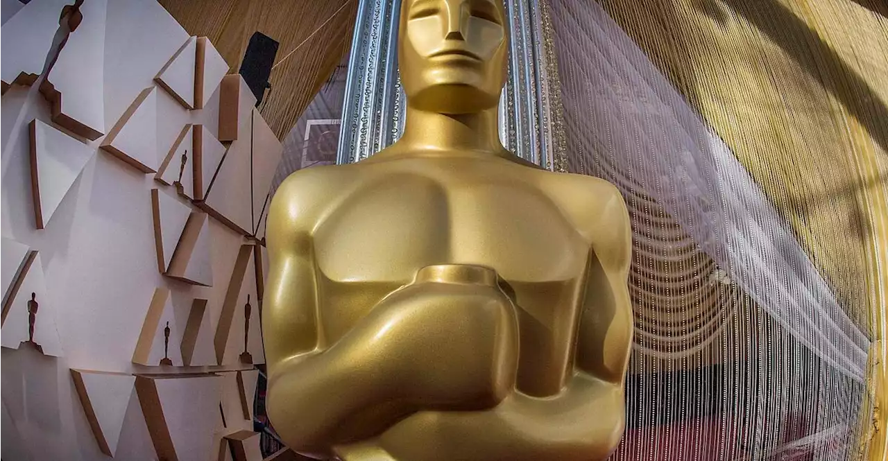 Oscars: 'Power of the Dog' mit zwölf Nominierungen an der Spitze
