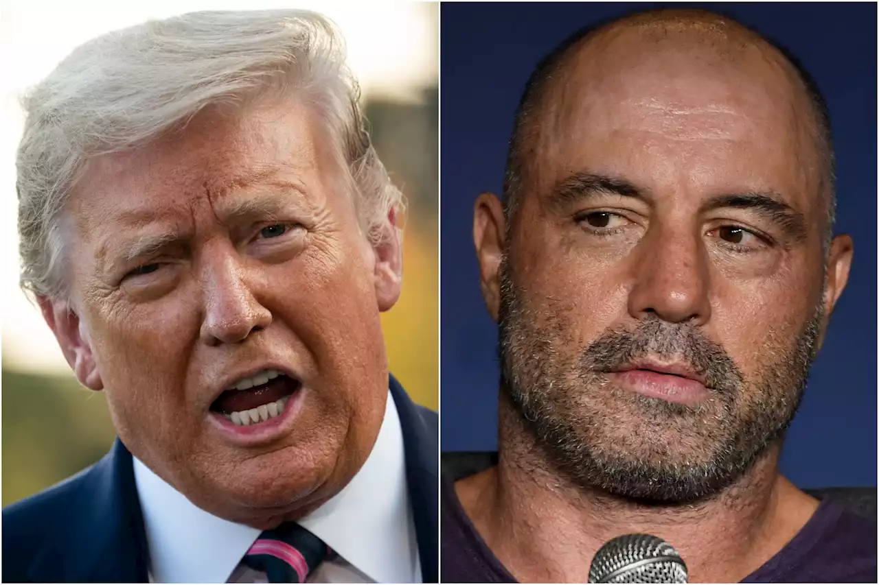 Trump tells Rogan 'stop apologizing' to avoid looking 'weak and frightened'