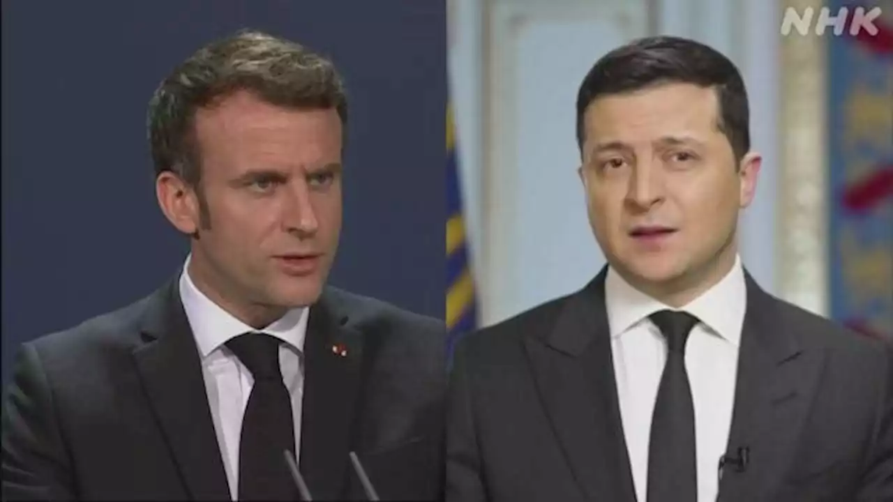 仏大統領 ウクライナ大統領と会談 停戦合意徹底の重要性で一致 | NHKニュース