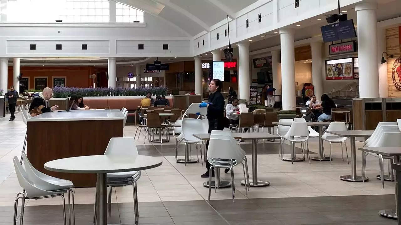 Mall shoppers may soon be able to order food court delivery