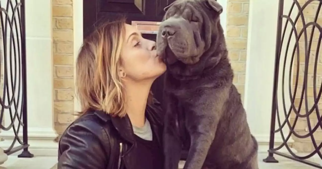 Louise Redknapp 'absolutely heartbroken' as her beloved dog Blu dies