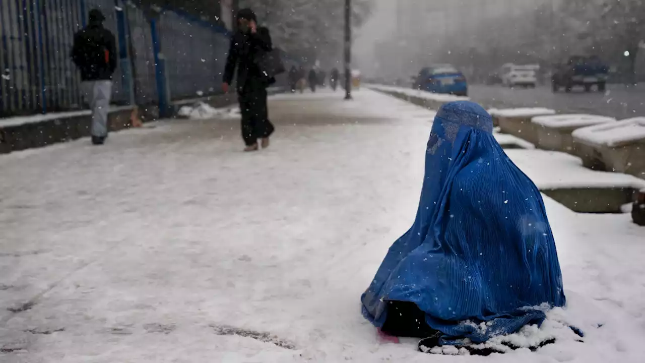 Viaggio a Kabul a sei mesi dalla presa di potere dei Talebani