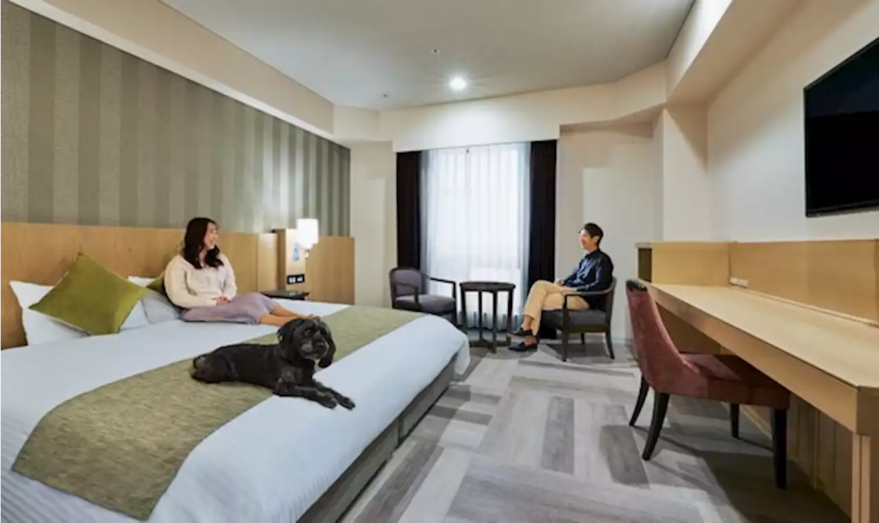 愛犬のケアからグルメ、預かりサービスも…ホテル「inumo芝公園 by Villa Fontaine」オープン | 動物のリアルを伝えるWebメディア「REANIMAL」