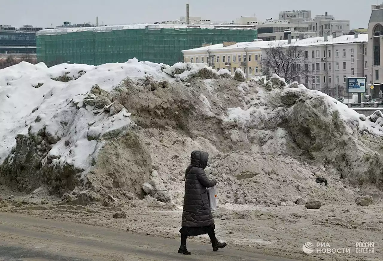 В Петербурге завели дела против организаций, занимающихся уборкой снега