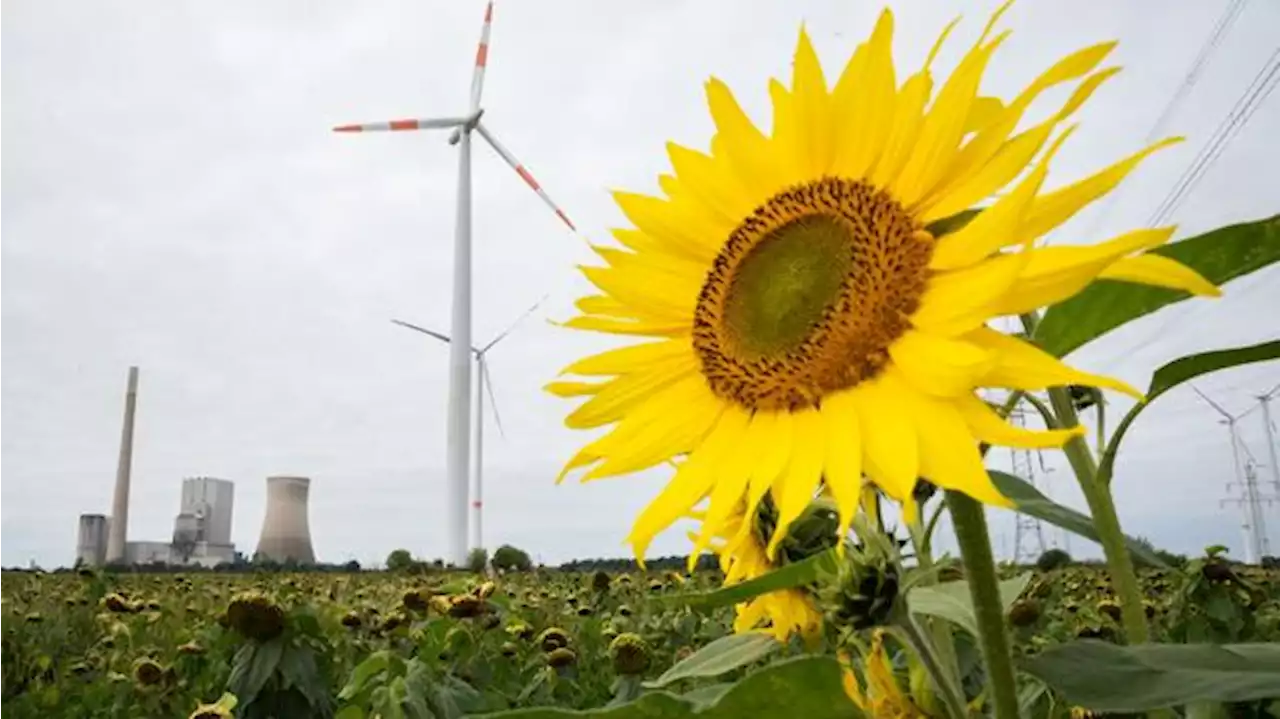 Wenn die Wunschwelt der Energiewende auf die Realität trifft