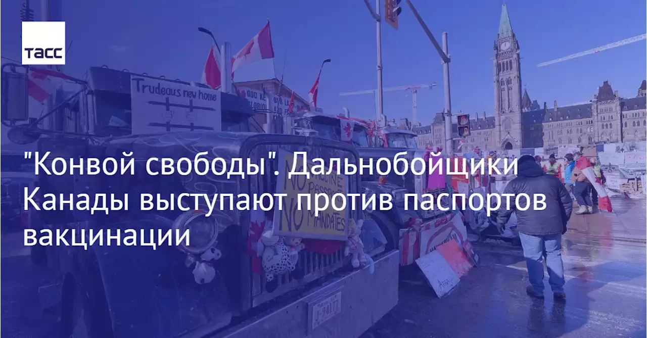 'Конвой свободы'. Дальнобойщики Канады выступают против паспортов вакцинации