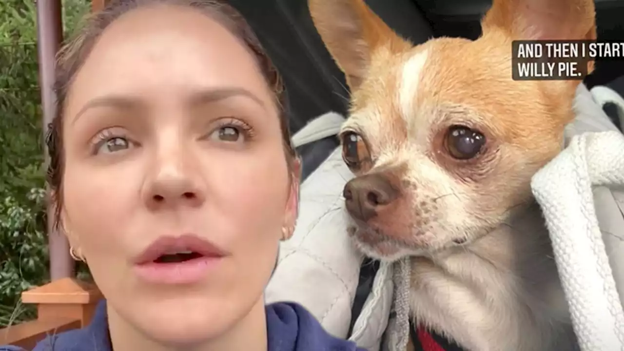 Katharine McPhee's Very Special Rescue Dog Wilma Dies