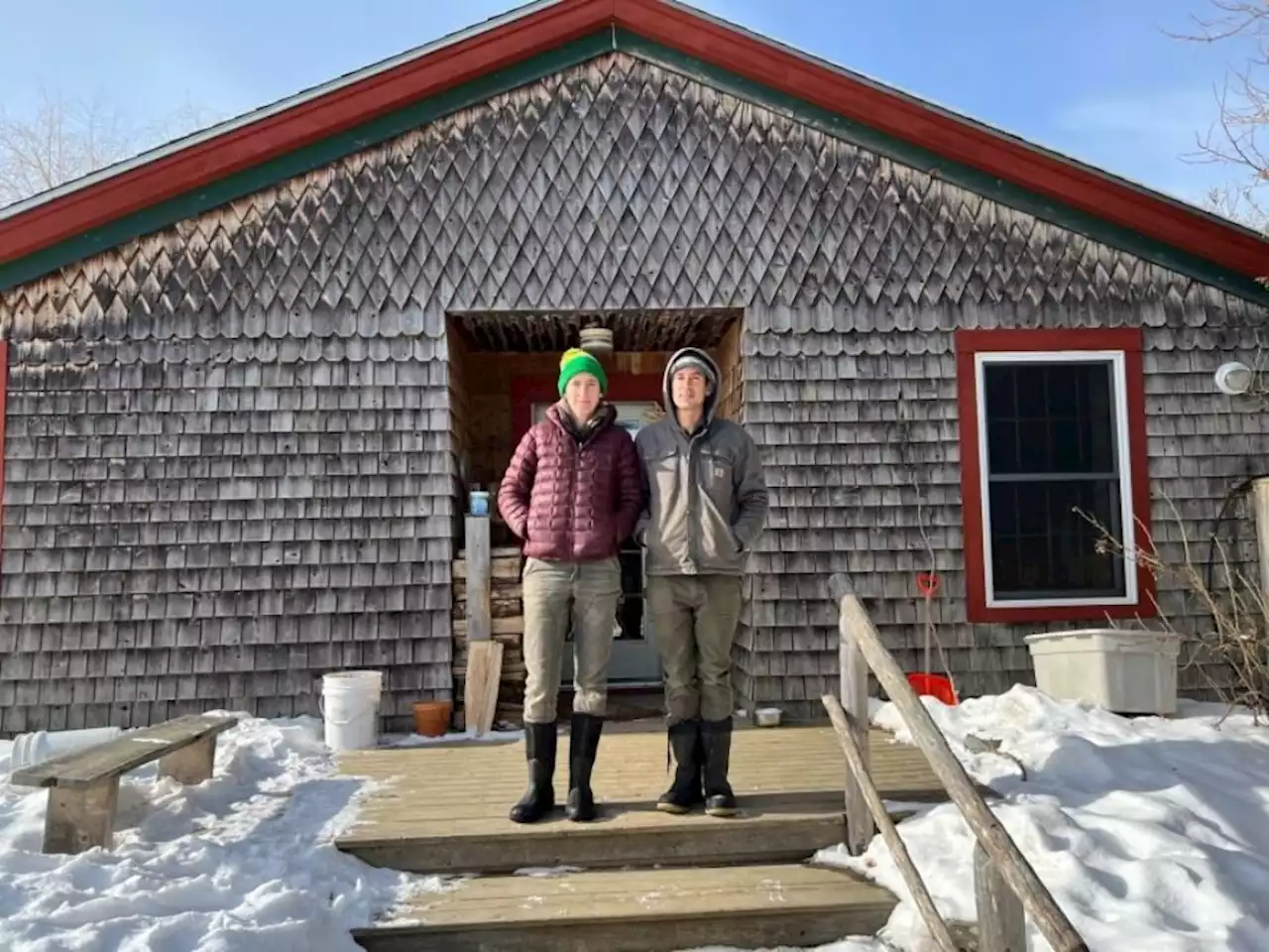 In Maine, 'forever chemicals' are upending this family farm