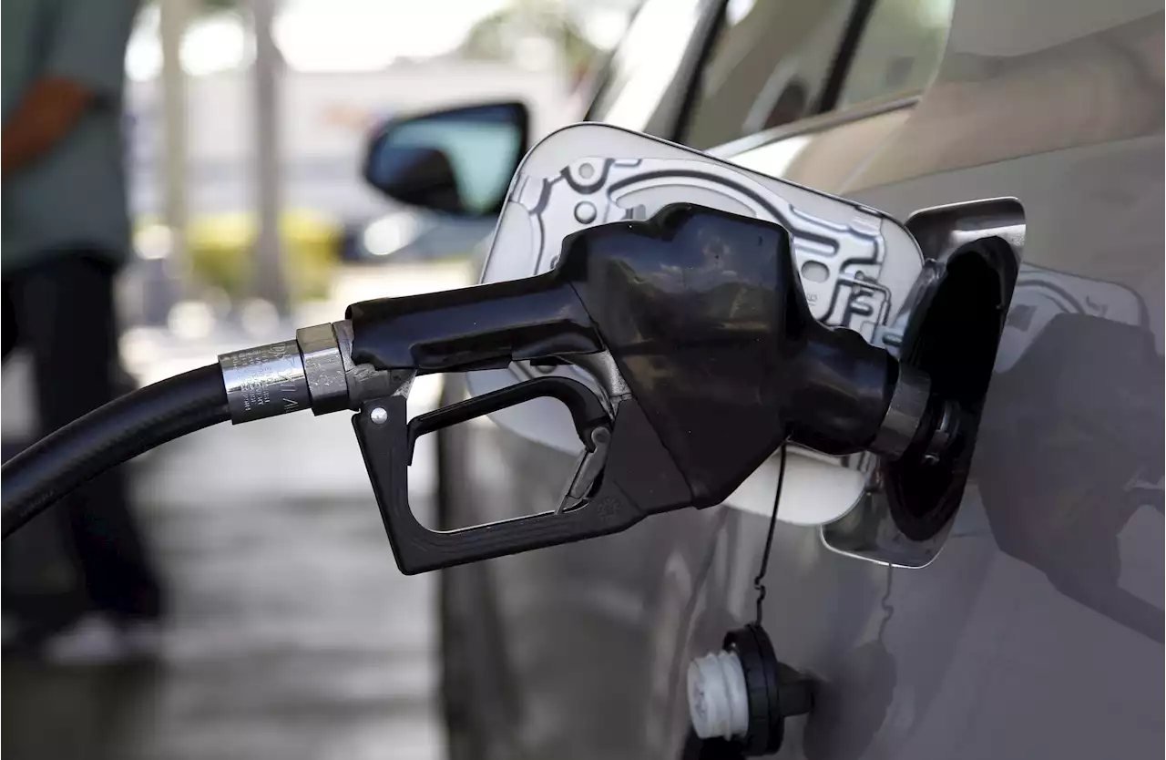 Senators call for gas tax suspension to blunt rising prices