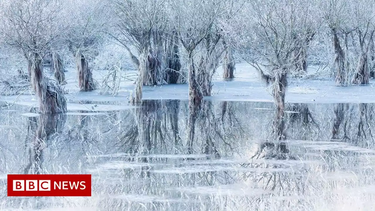 Wildlife Photographer of the Year People's Choice winner revealed