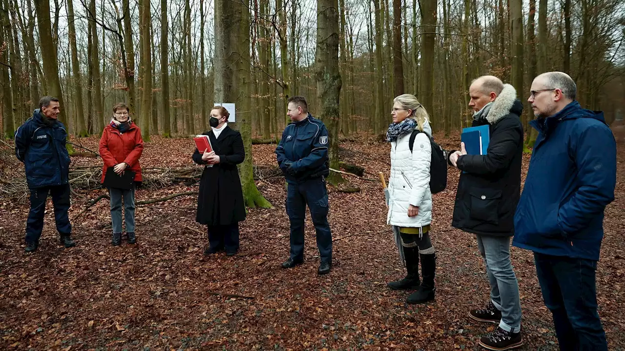 Baum erschlägt Frau – Prozess mitten im Grunewald