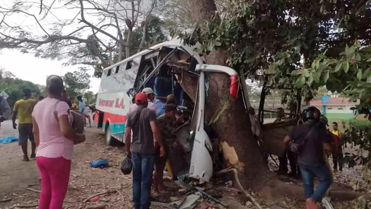 Al menos 15 heridos tras choque de un bus contra árbol en Lorica, Córdoba