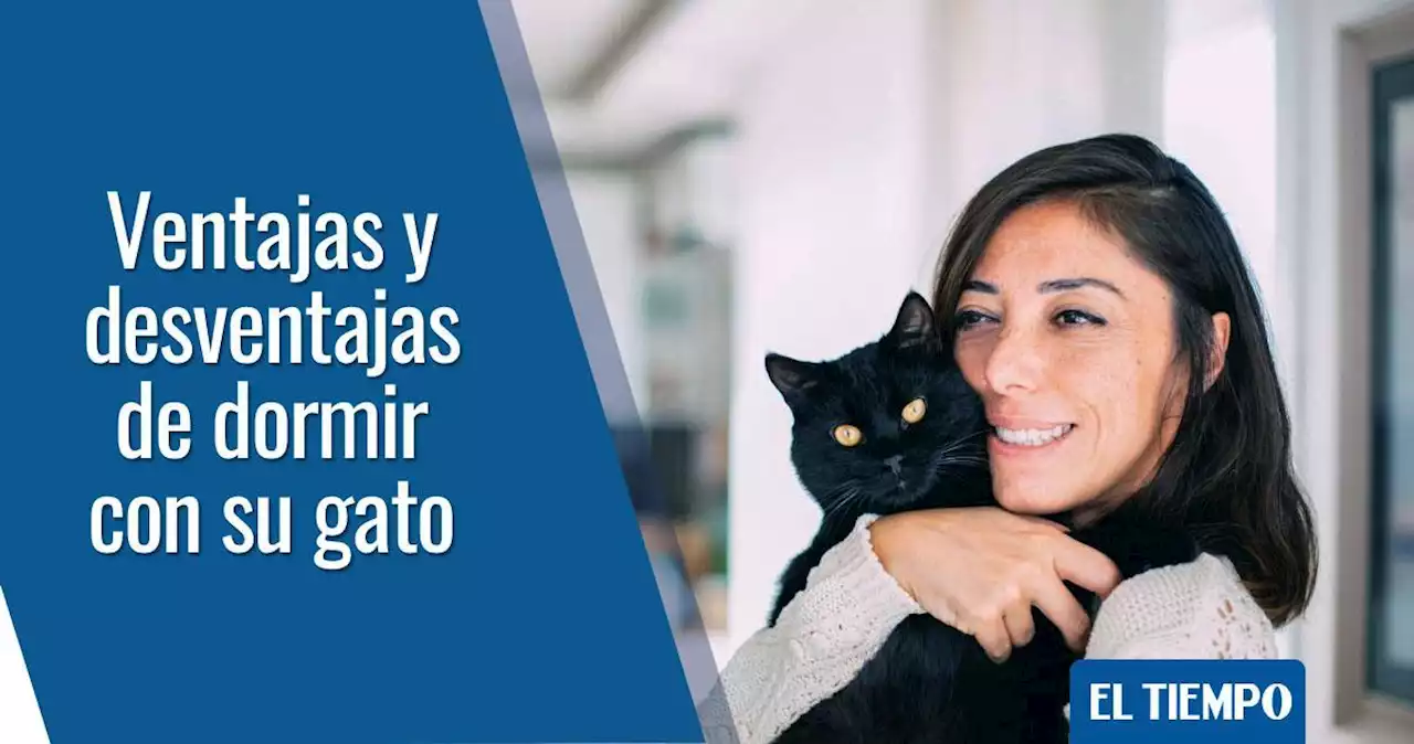 ¿Es bueno dormir con el gato en la misma cama?