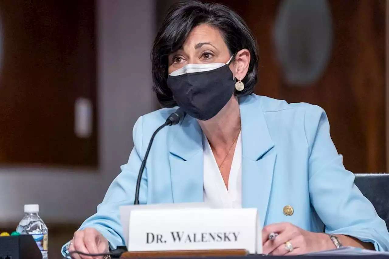 CDC Director Still Recommends Wearing Masks Indoors—These States Are Dropping Their Mandates Anyway