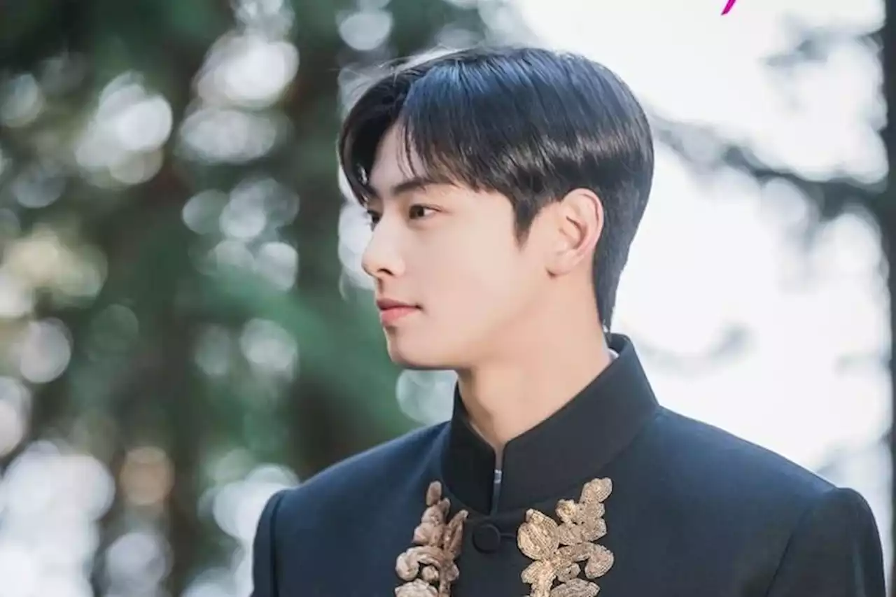 Biodata Cha Eun Woo, Idol Kpop Korea Selatan yang Jadi Brand Ambasador MS Glow - Pikiran-Rakyat.com