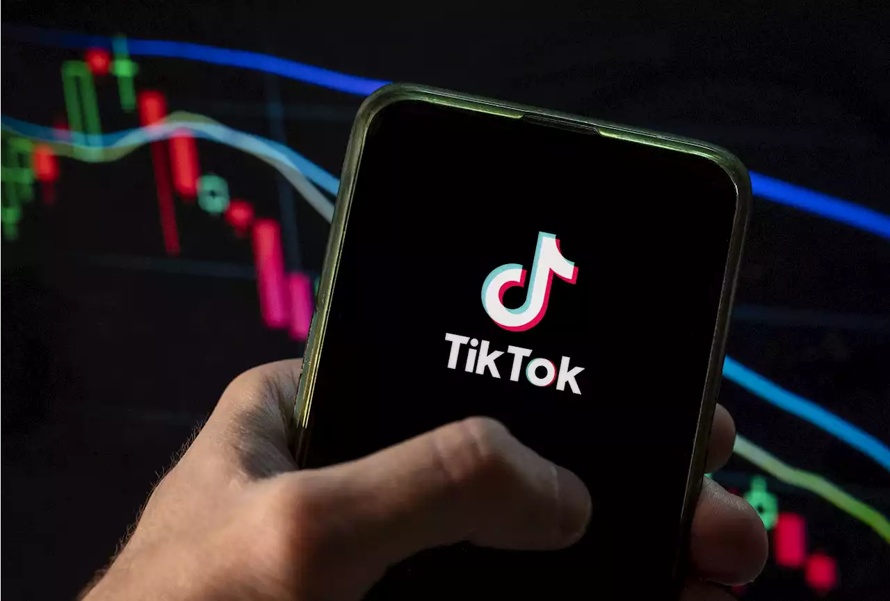 TikTok is like 'crack cocaine for kids', warns senior Tory MP