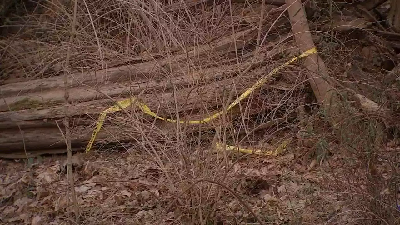 Police identify burned remains found in Philadelphia's Fairmount Park