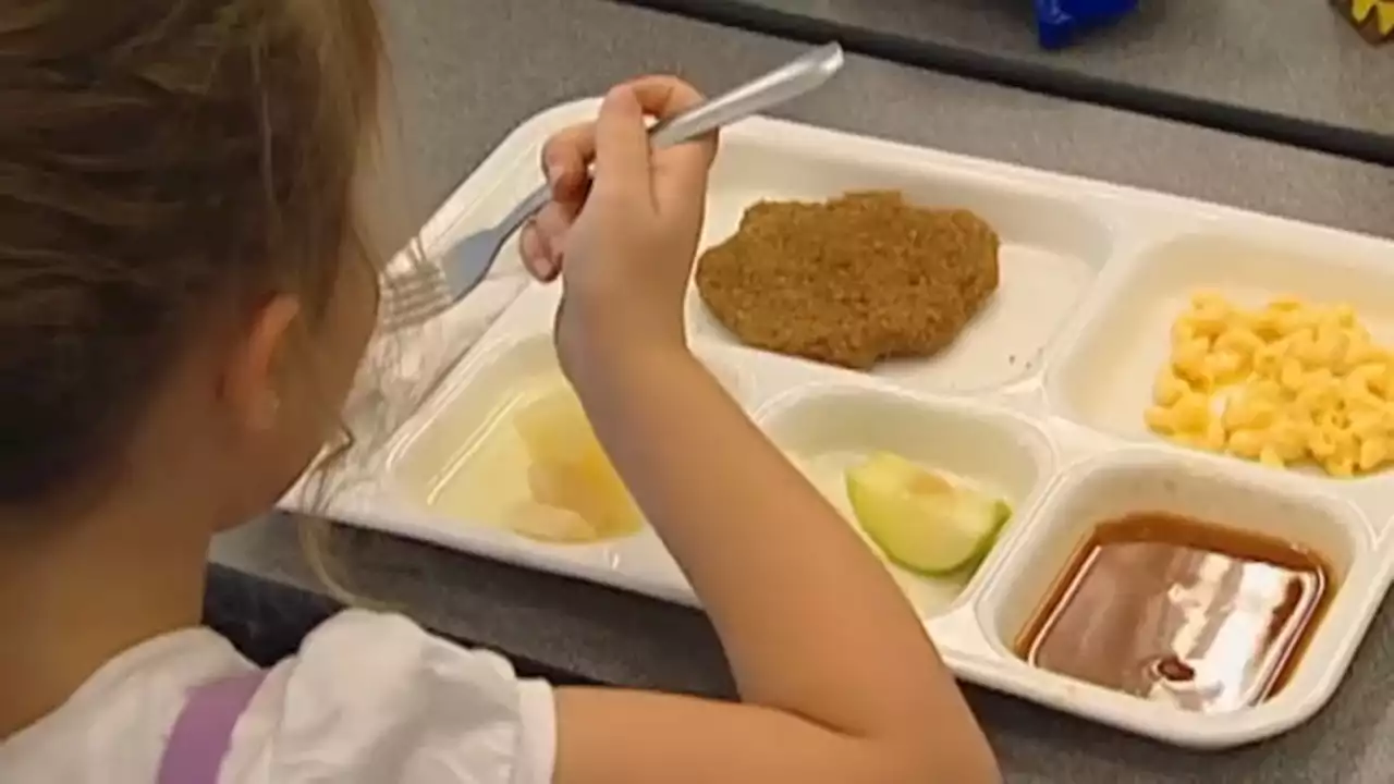 Illinois schools wouldn't have to serve cheapest food possible under new bill