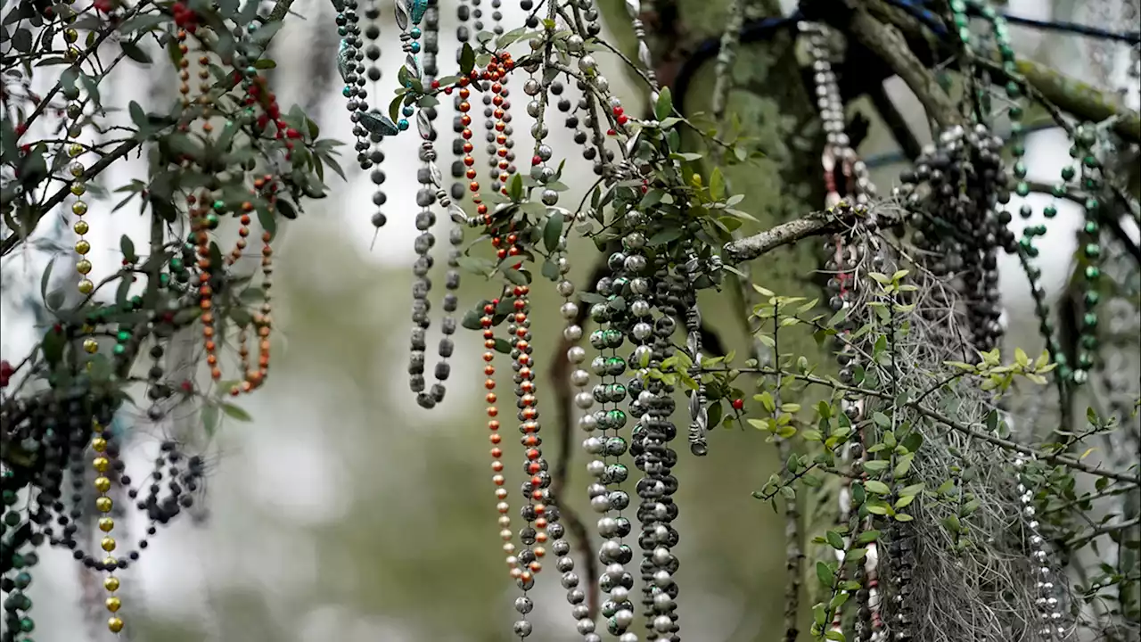 SF celebrating Mardi Gras with free events for Fat Tuesday