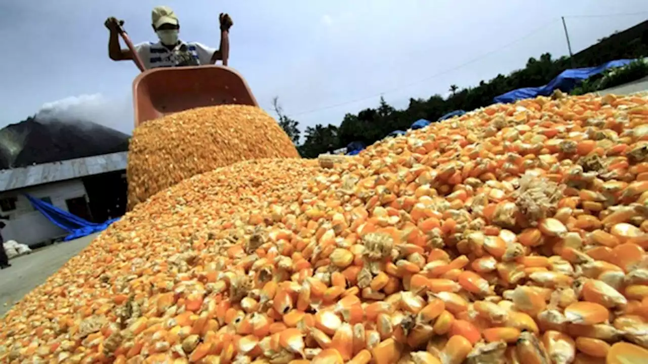 Vislumbran mejoras en los precios de las materias primas por la crisis en Ucrania