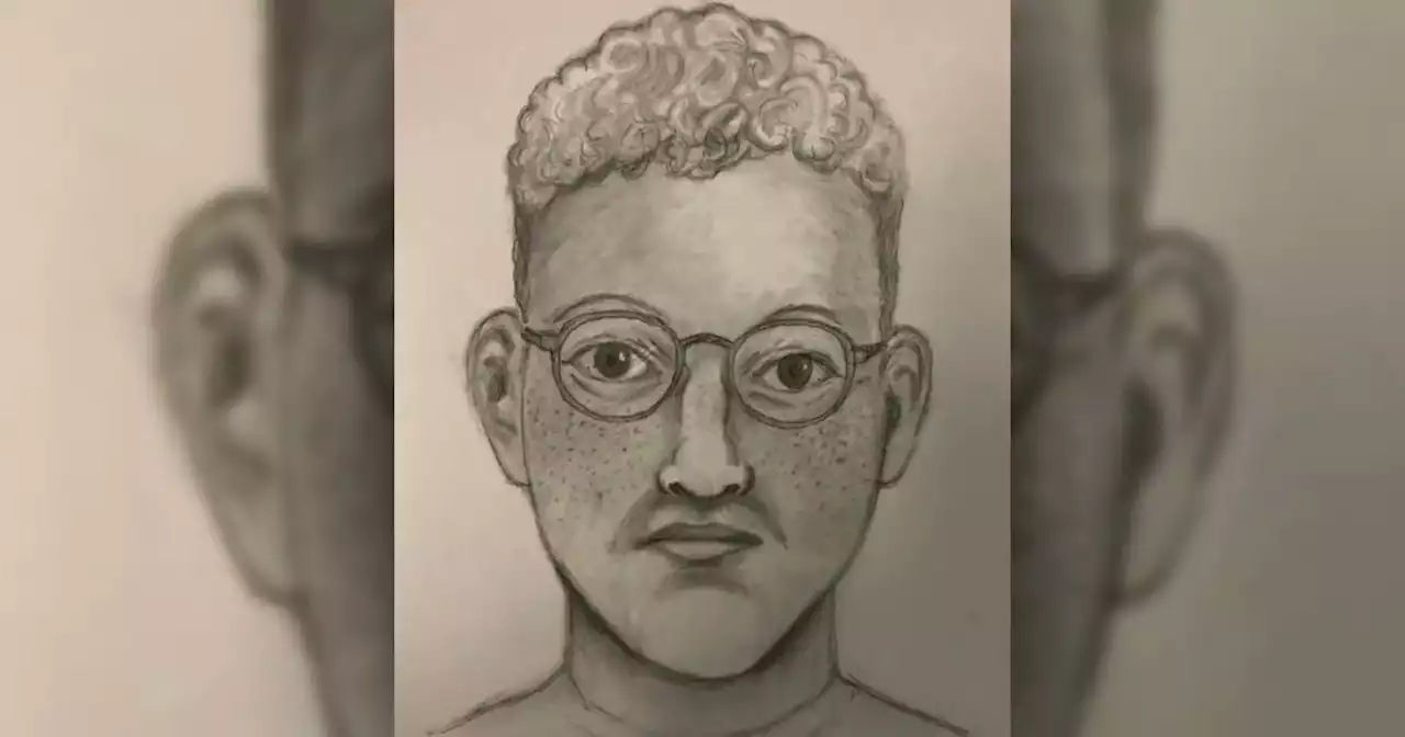 Sketch released of man suspected of approaching Spring Valley Academy student